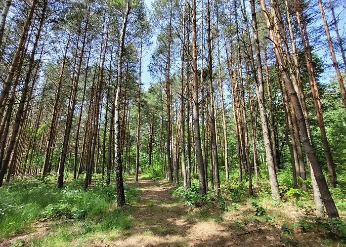 Domek Nad Stawami Dla Wedkarzy - Gospodarstwo Rybackie Jaworznik