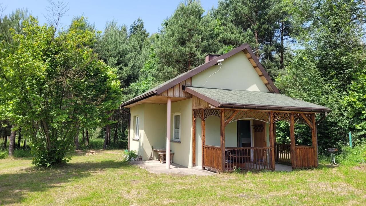 Nad Stawami Dla Wedkarzy - Gospodarstwo Rybackie Holiday home Jaworznik
